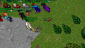 Gilatad on screen