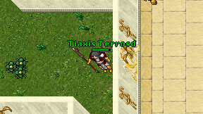 Tiaxis Terrosd on screen