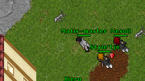 Matis-master on screen