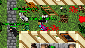 Magic Knightzz on screen
