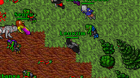 Leoxzim on screen
