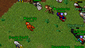 Woo'dy on screen