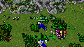 Bolso Redrain on screen
