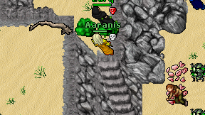Aaranis on screen