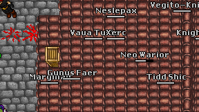 Neo Warior on screen