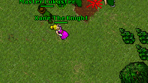 Xane The Knight on screen