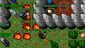 Niecek ziomal on screen