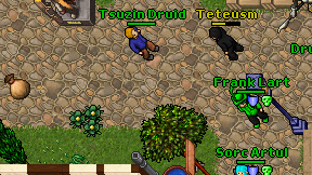 Tsuzin Druid on screen