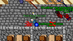 Vulchok Druid on screen
