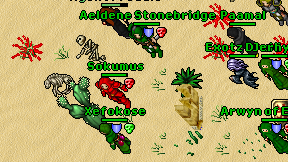 Sokumus on screen