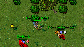Karate Jens on screen