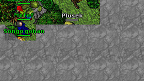 Plusek on screen