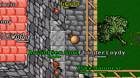 Gruda on screen