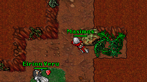 Masimos on screen