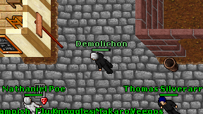 Demolichon on screen