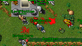 Caimancita on screen