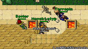 Nevoh Letyp on screen