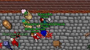 Master Donald Duck on screen