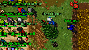 Dael Ozuk on screen