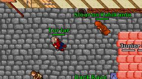 Tor lar on screen