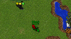 Chej on screen