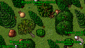 Angel Bombadinho on screen