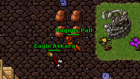Magnus'Pall on screen