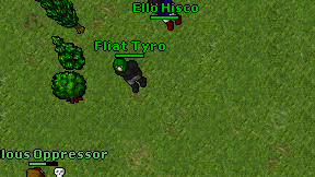 Ello Hisco on screen