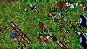 Cedrik Master on screen