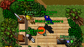 Kayra on screen