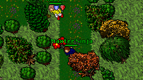 Maxter Ninja on screen