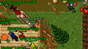 Cashairie on screen