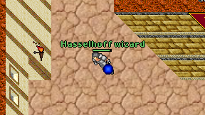 Hasselhoff wizard on screen