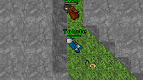 Totote on screen