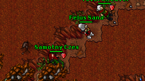 Felus Sana on screen