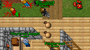 Pouqelin on screen