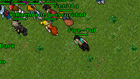 Fire-Yul on screen
