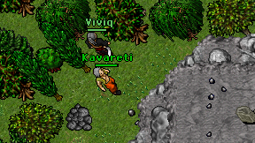 Kavareti on screen