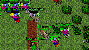 Hiffon on screen