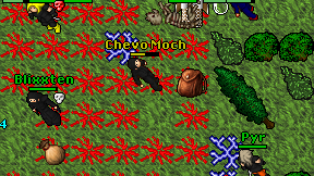 Chevo Moch on screen