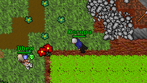 Koropa on screen