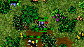 Aweyn on screen