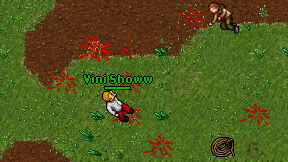 Vini Showw on screen