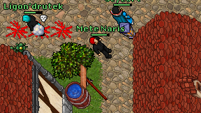 Mete Naris on screen