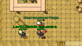 Necromancer Mage on screen