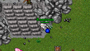 Raminon on screen