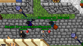 Ragnarok Jdruid on screen