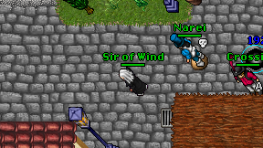 Sir of Wind on screen