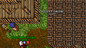 Joost Imum on screen