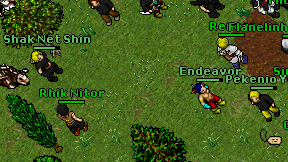 Rhik Nitor on screen